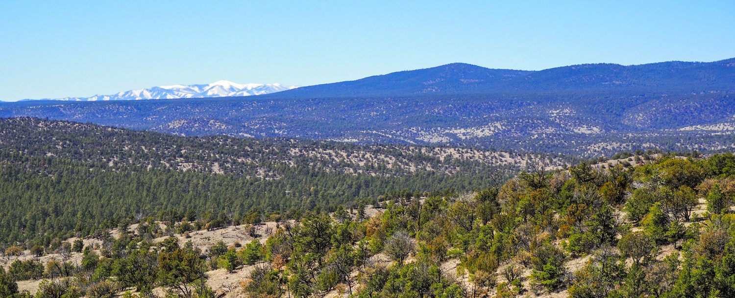 Happy Birthday to The Gila Wilderness!