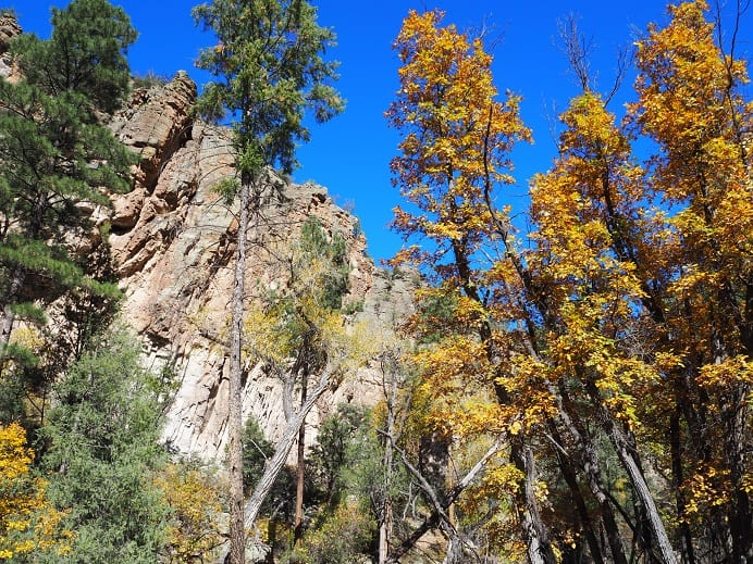 Wilderness Act: How the Gila Led the Way for Preserving Wilderness