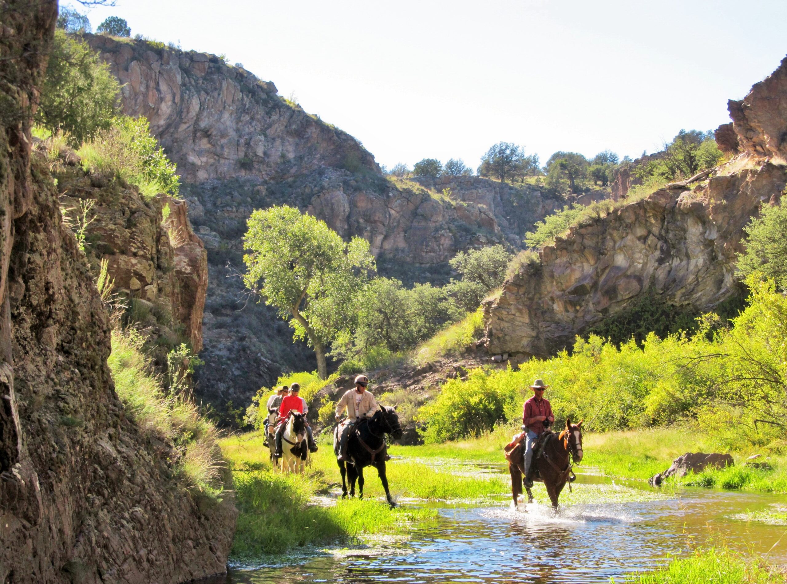 New Mexico Horseback Riding