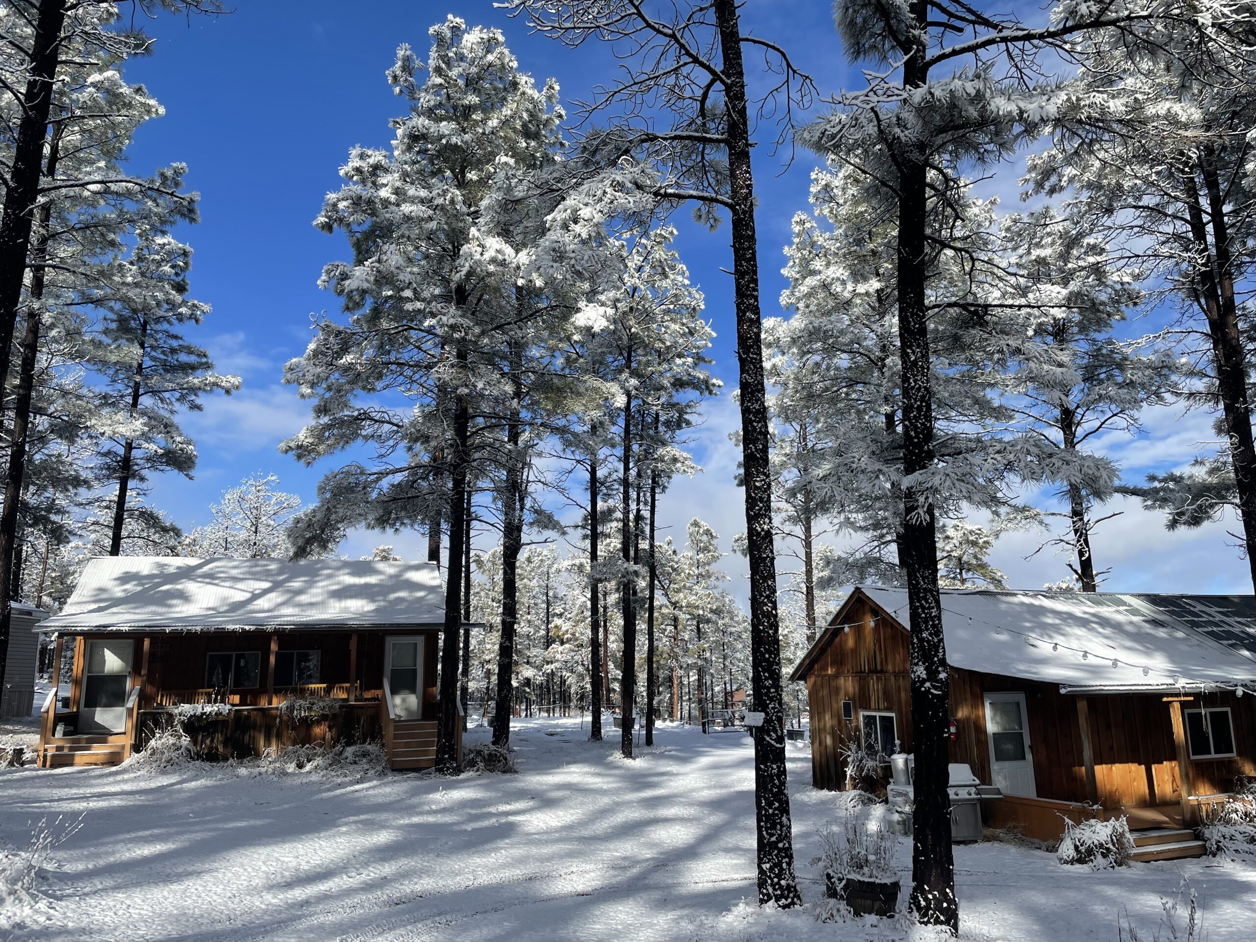 Weather in New Mexico