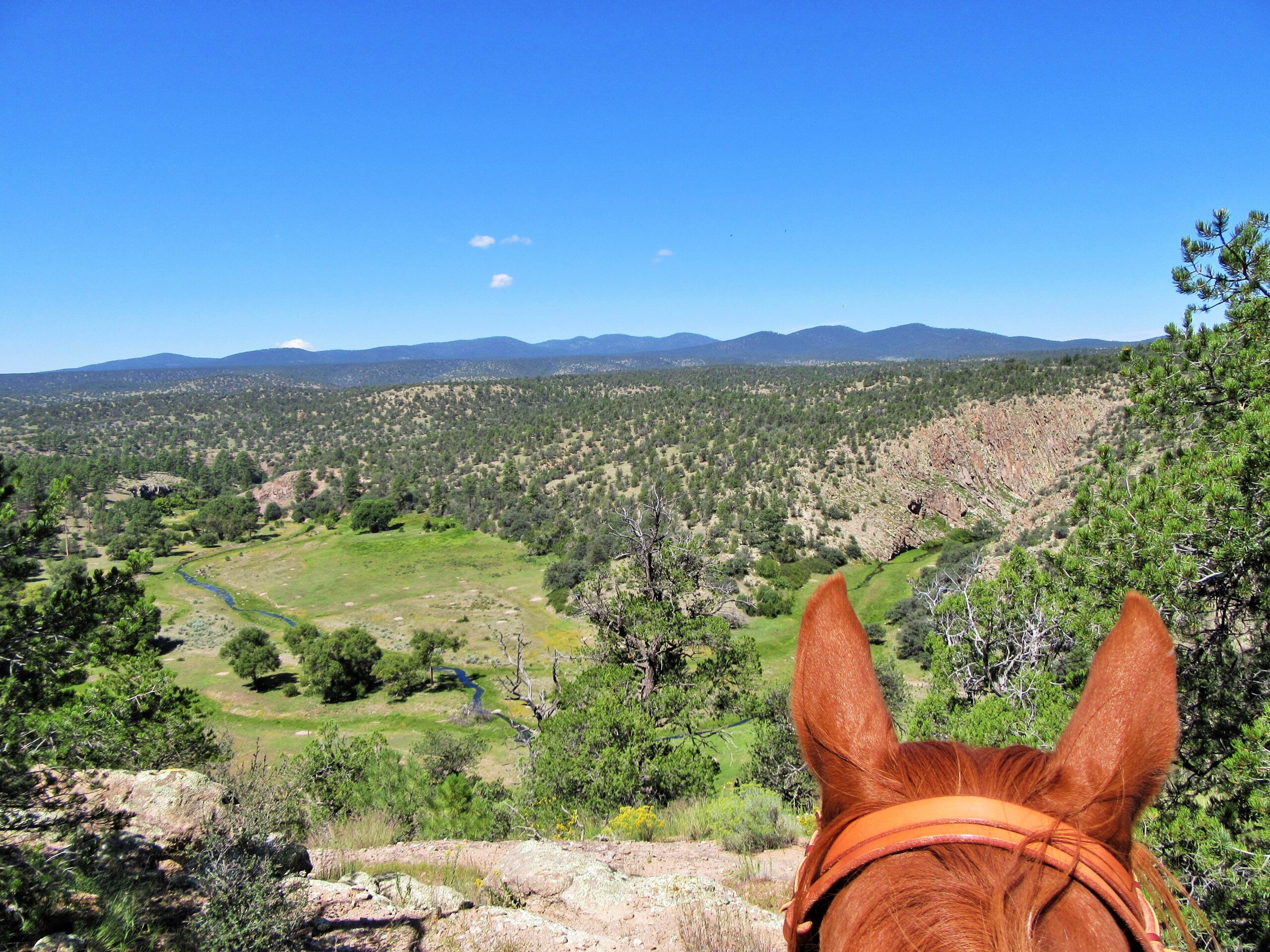 New Mexico Horseback Riding