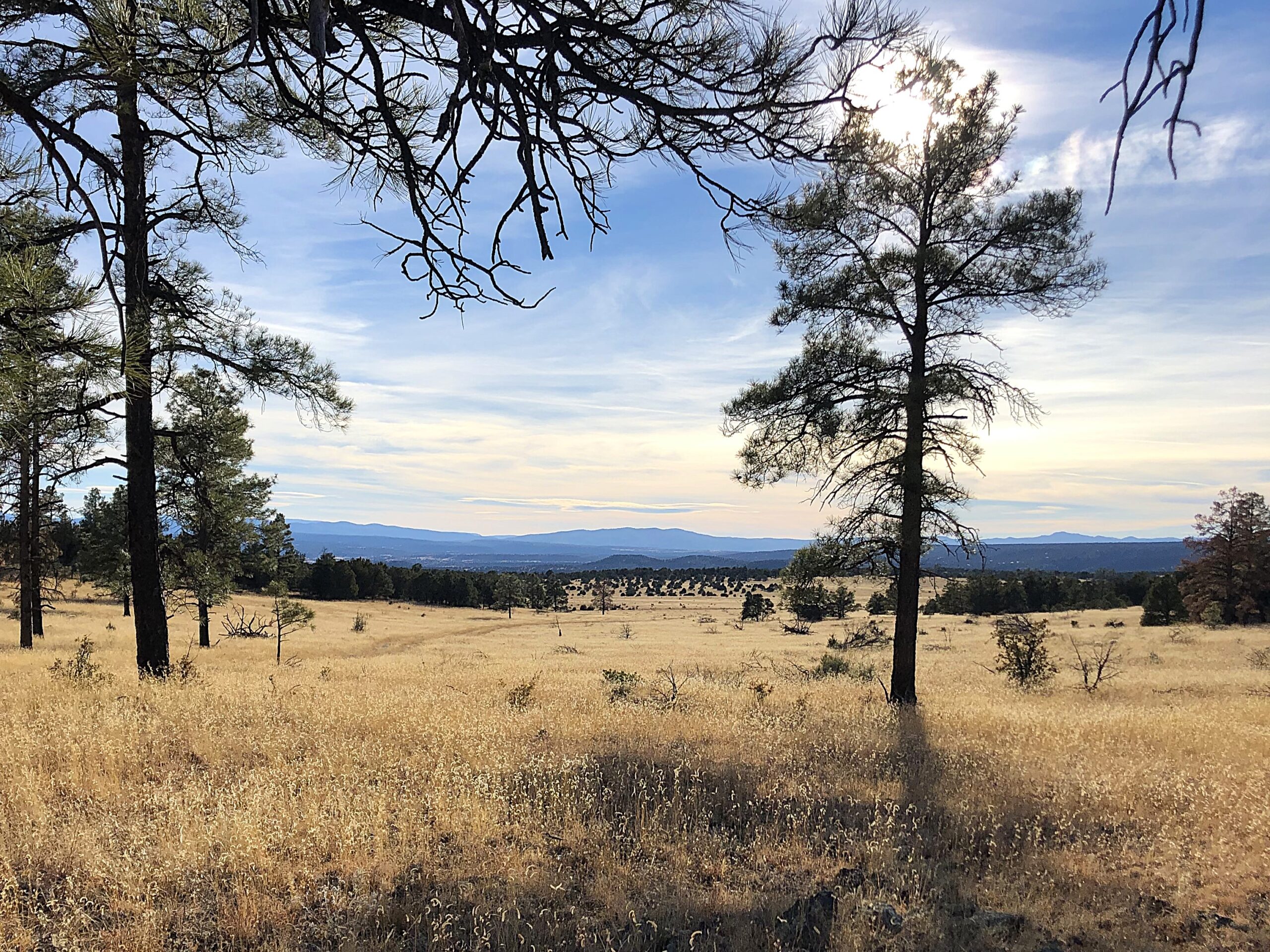 Weather in New Mexico