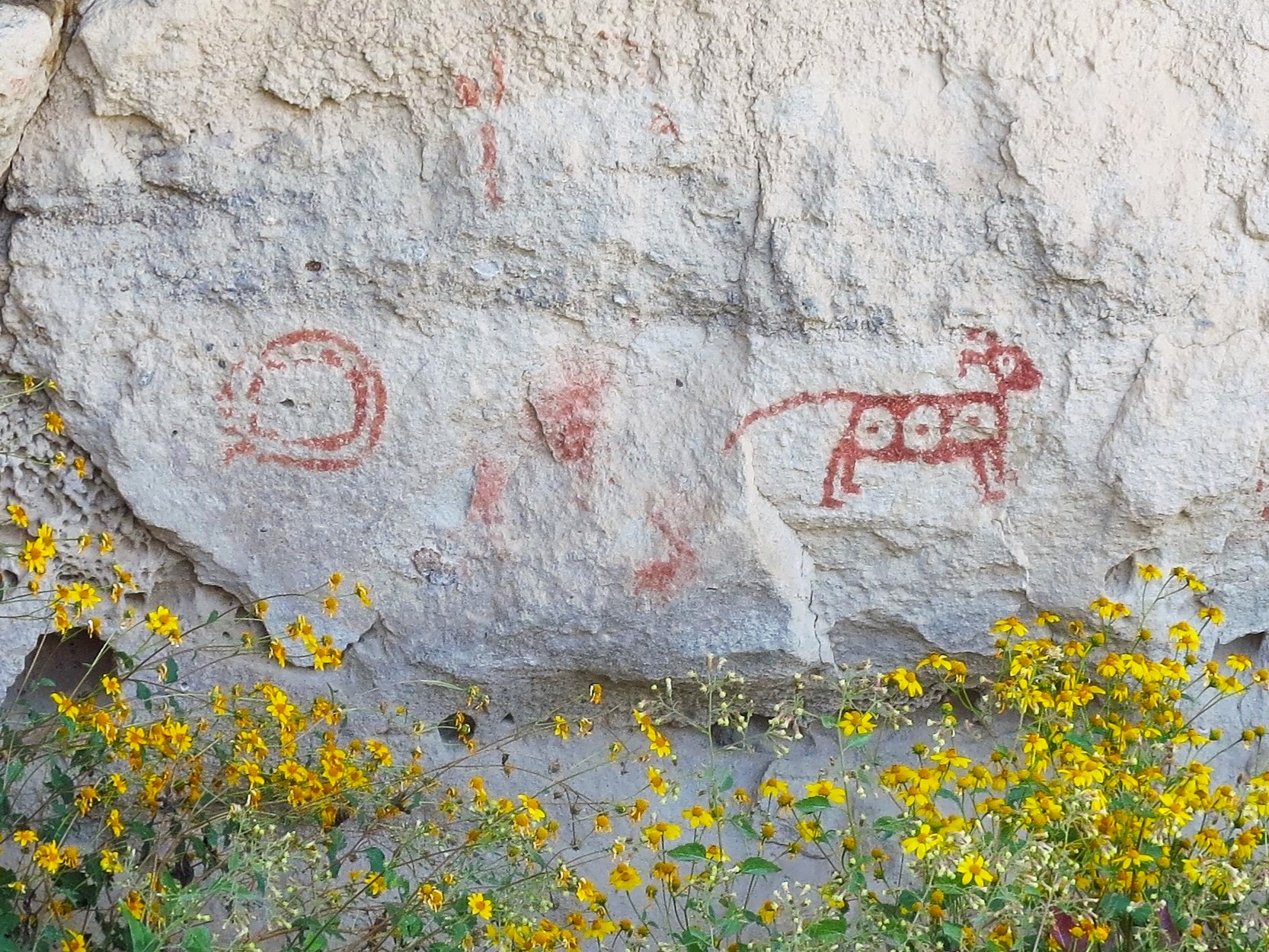 Pictographs at Geronimo Trail Guest Ranch