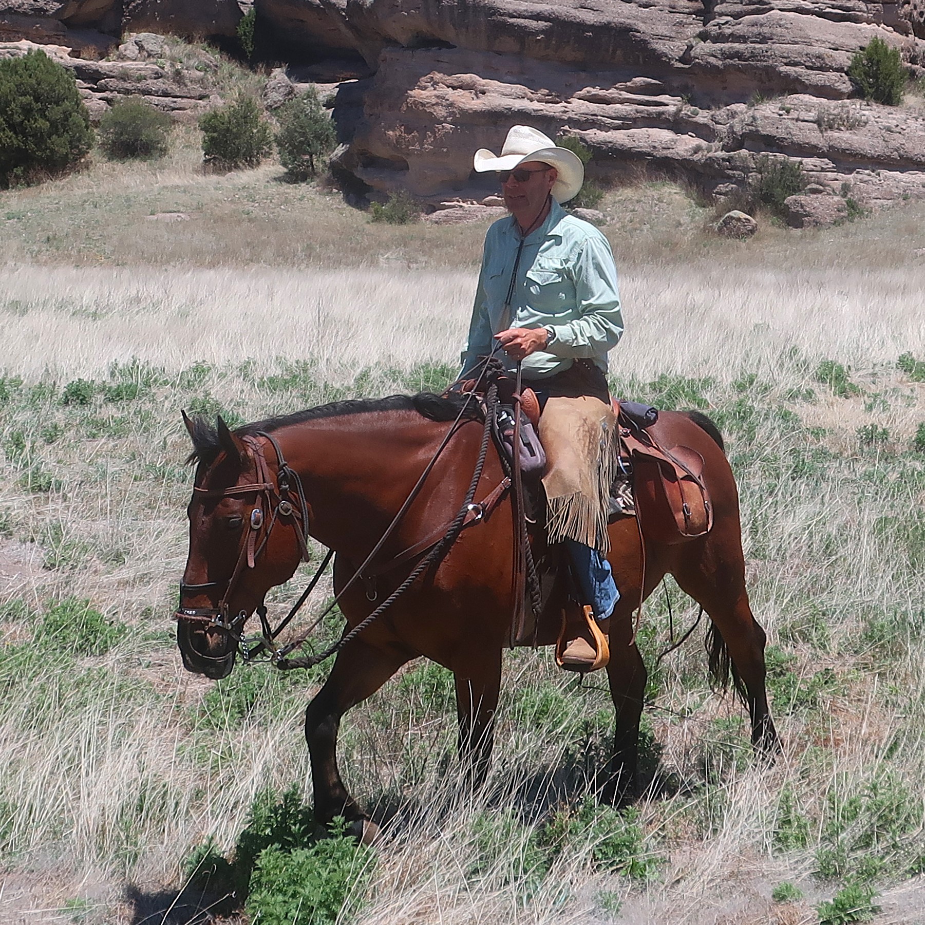 Horses at Geronimo Trail Guest Ranch