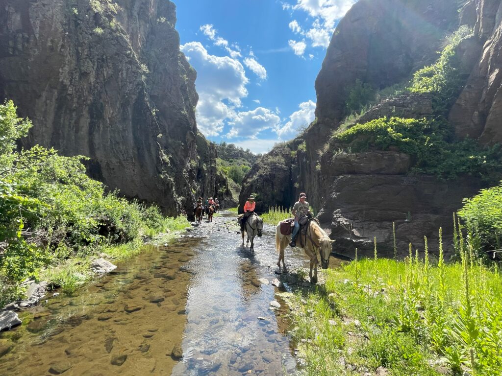 Cabin & Horseback Riding