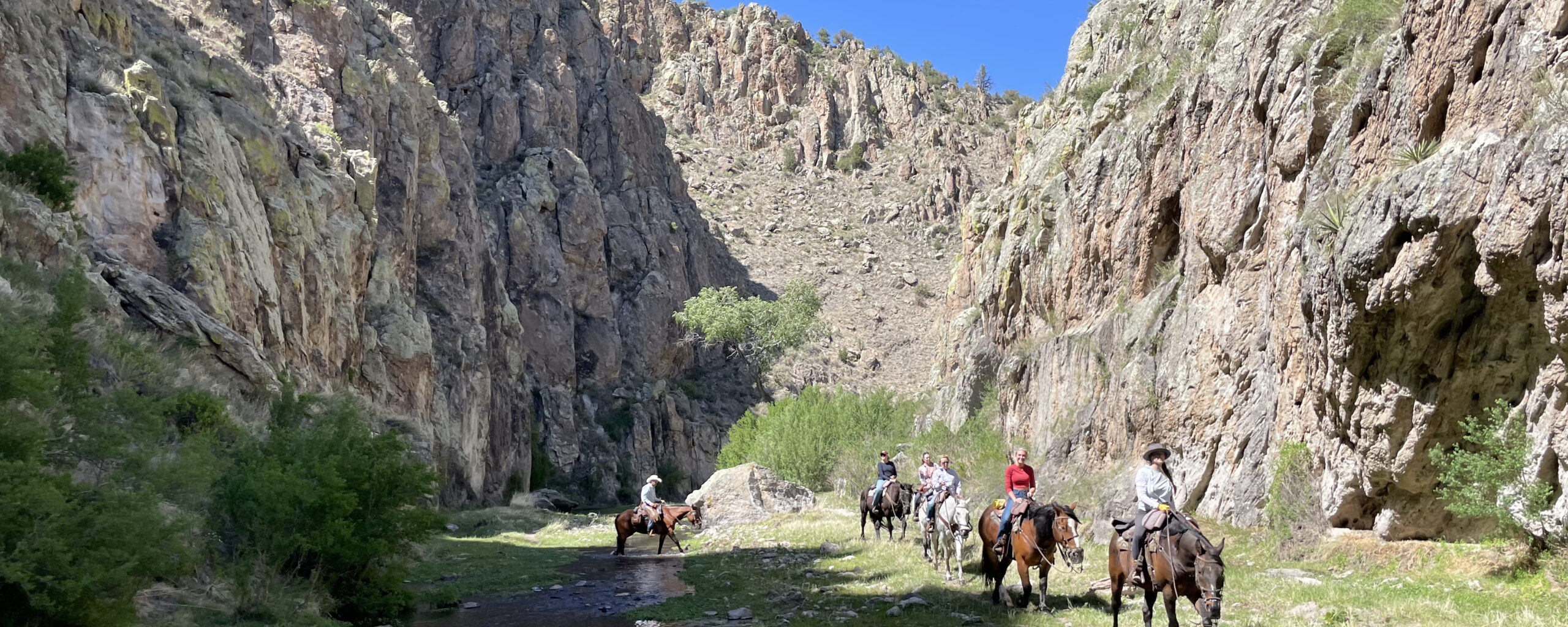 Cabin & Horseback Riding Rates