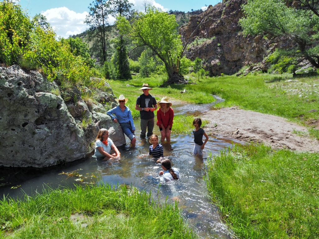 Cooling off in the creek
