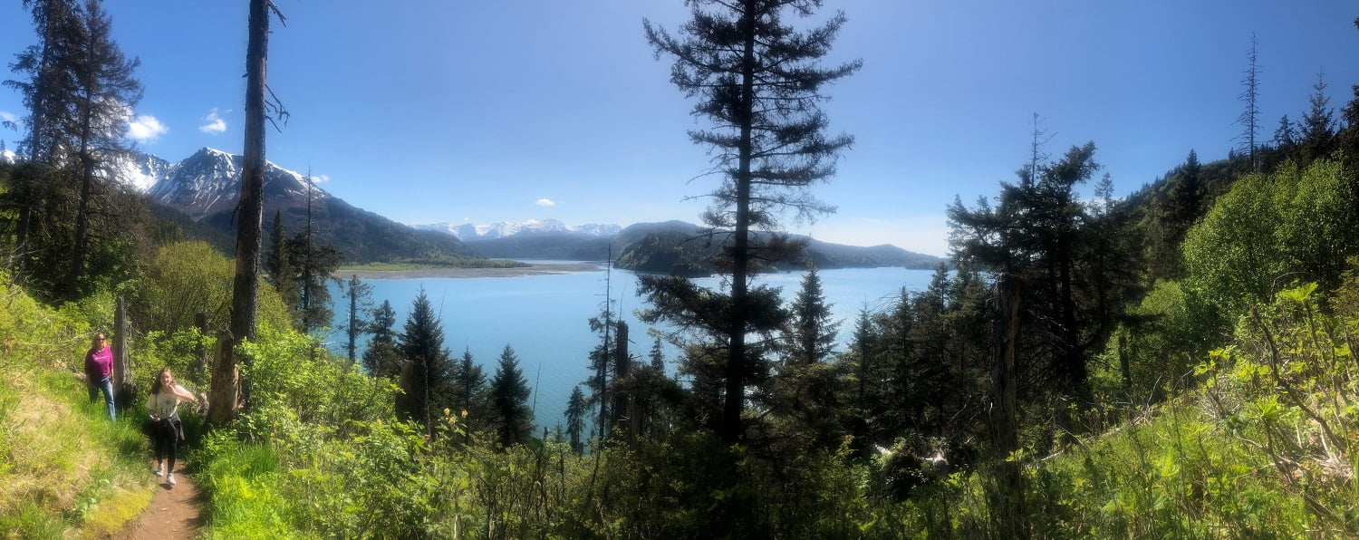 Seas the Day With the Best Homer, Alaska, Sightseeing, Eagles, Whales, Otters and More