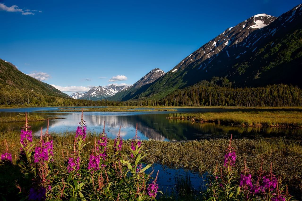 View of mountains and lake in Alaska