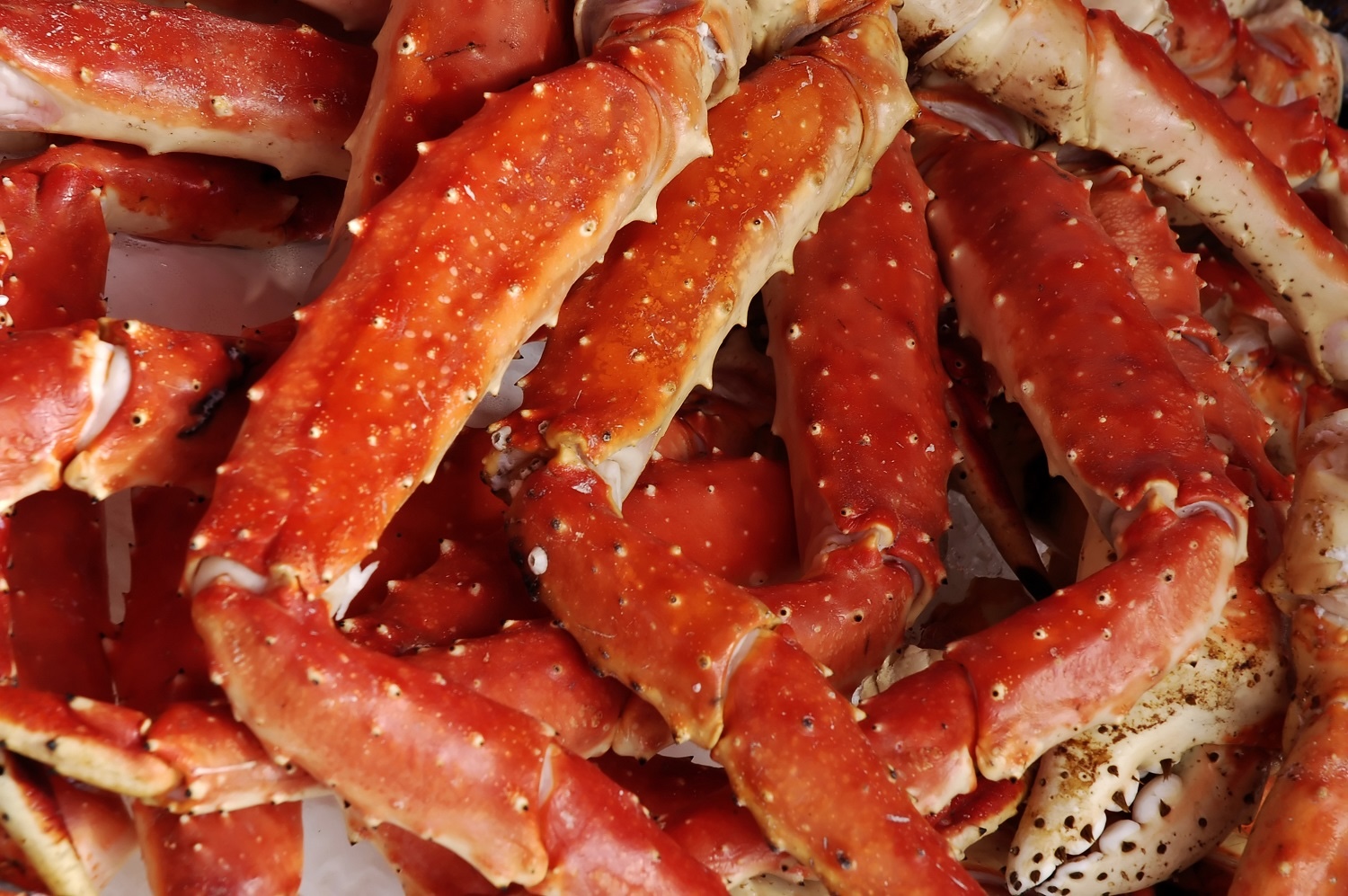 Crab Legs