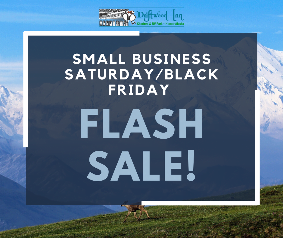 Small Business Saturday/Black Friday Flash Sale