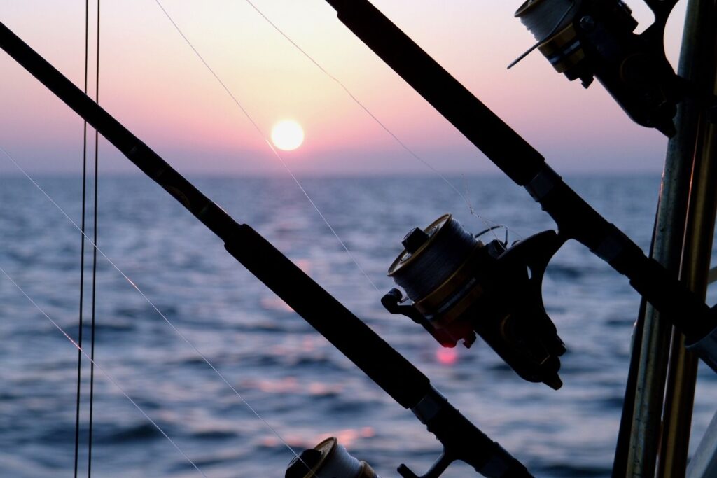 Fishing rod with sunset in the background.