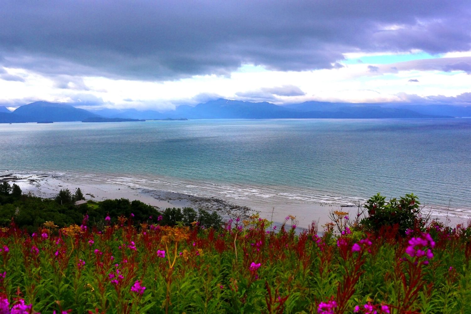 How to Have the Most Exciting Summer in Homer, Alaska