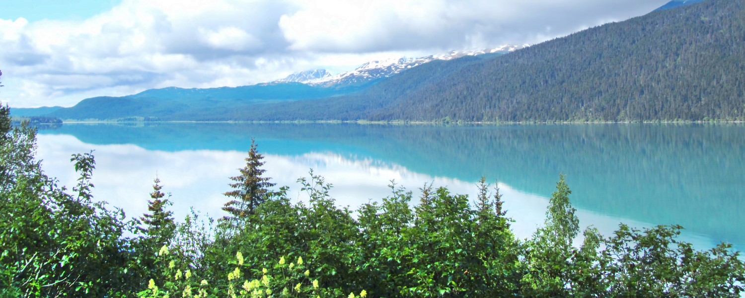 Uncover the Wonders of Kenai Fjords National Park