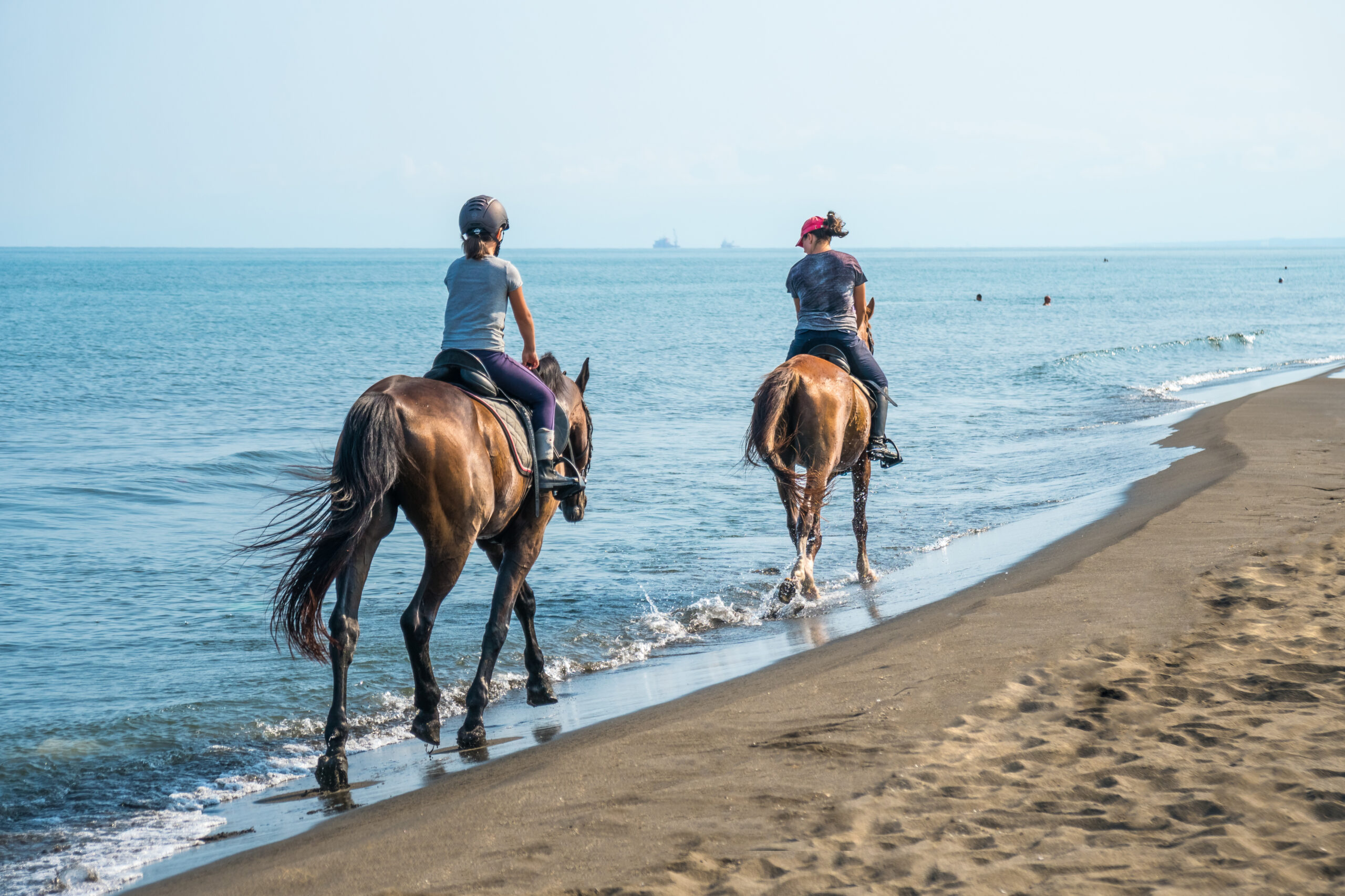 Beach Horseback Riding 