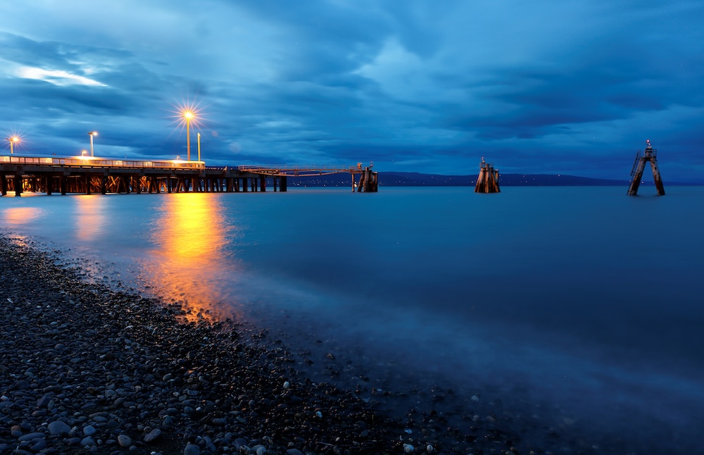 Experience the Best of Homer’s Nightlife