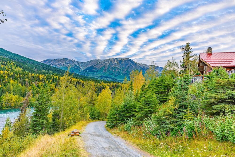 Gravel road leading through forest toward a cabin near Homer, AK.