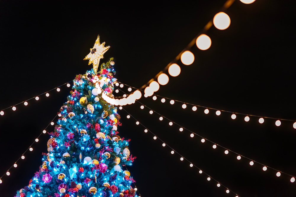 A community Christmas tree illuminated with LED lights