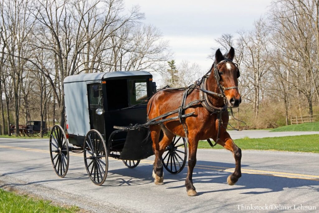 Visiting Pennsylvania Dutch country is a great thing to when you stay at the Sayre Mansion.