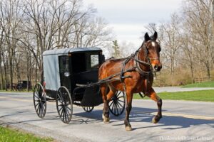 5 Things to Do in Pennsylvania Dutch Country | Sayre Mansion