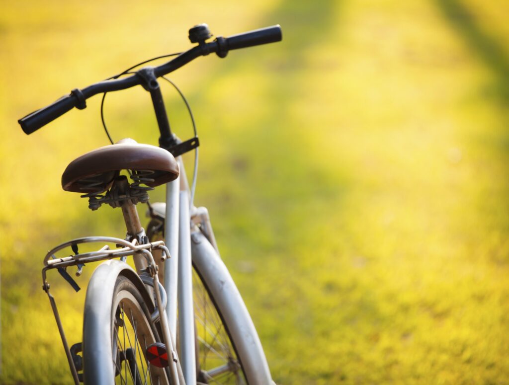 Fall Cycling