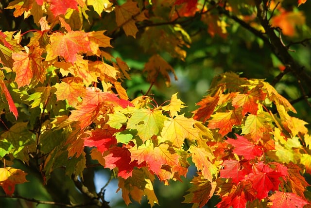 Fall is an Incredible Time to Travel to Pennsylvania