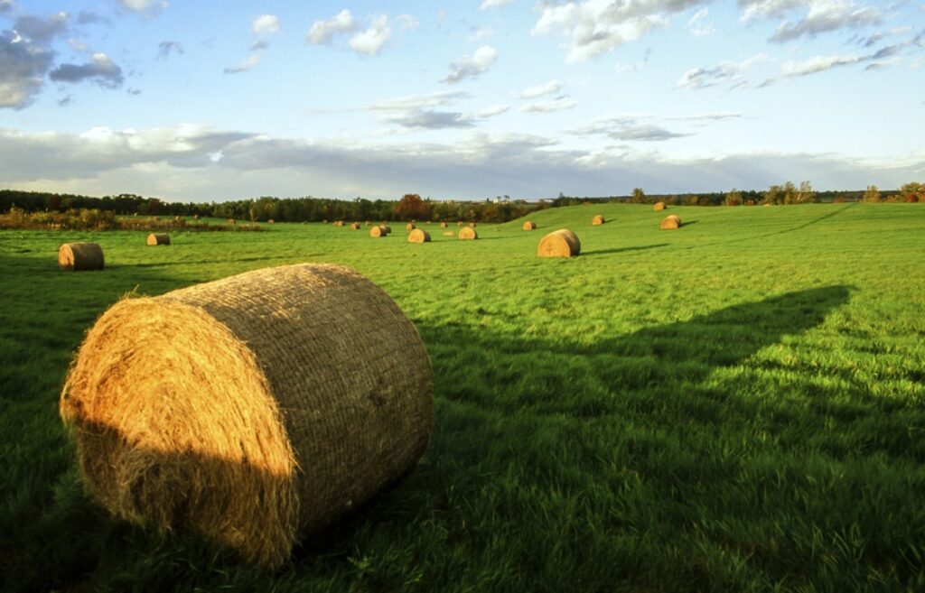 View of a farm on day trips in Pennsylvania