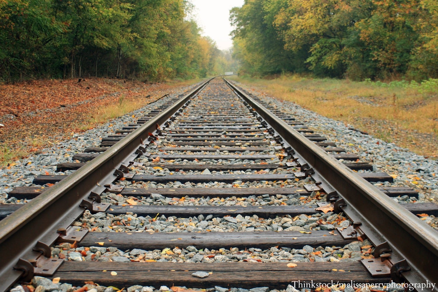 Train Tracks