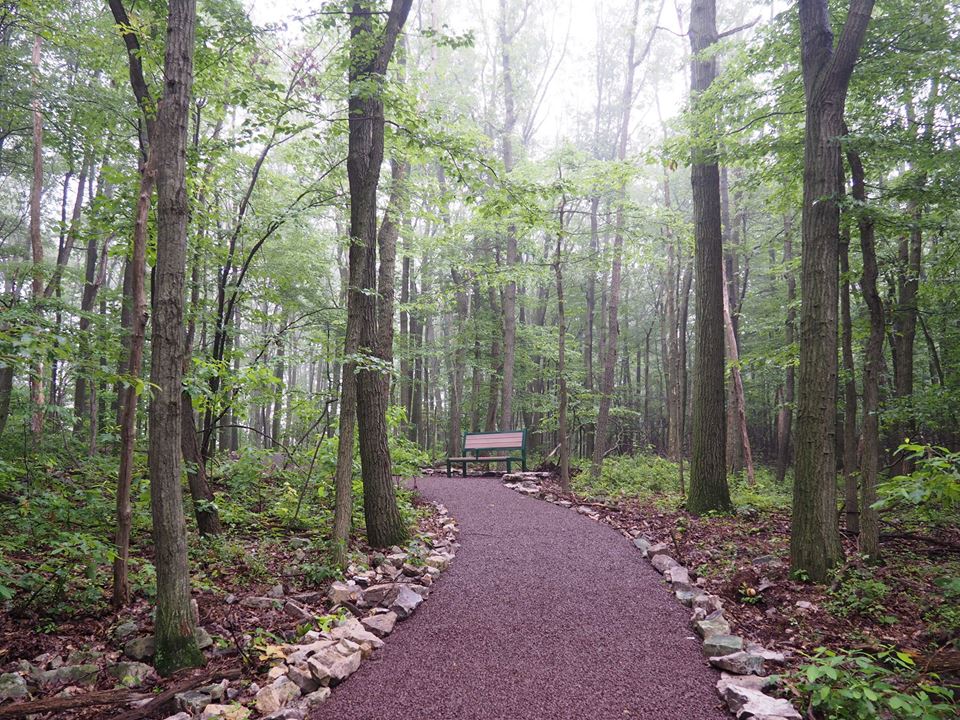 Hawk Mtn Bench