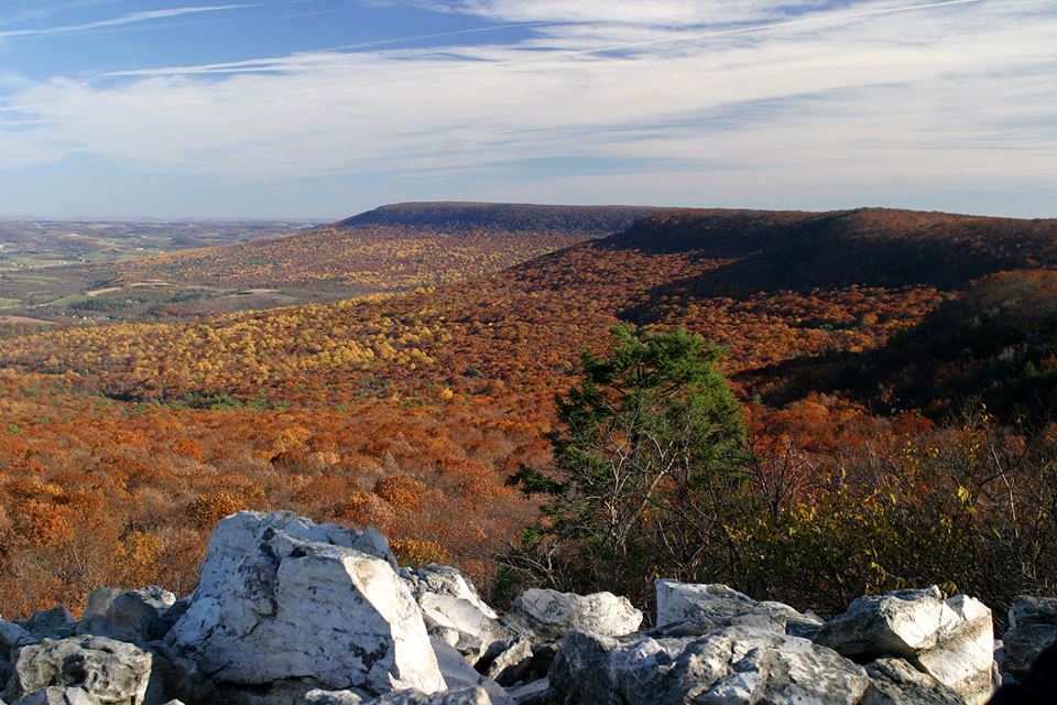 Hawk Mtn Fall View