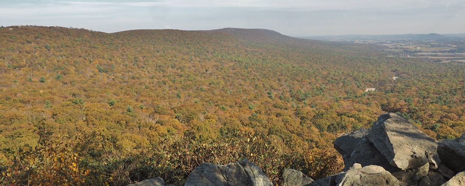 Why You Need to Plan a Trip to Hawk Mountain Sanctuary This Fall