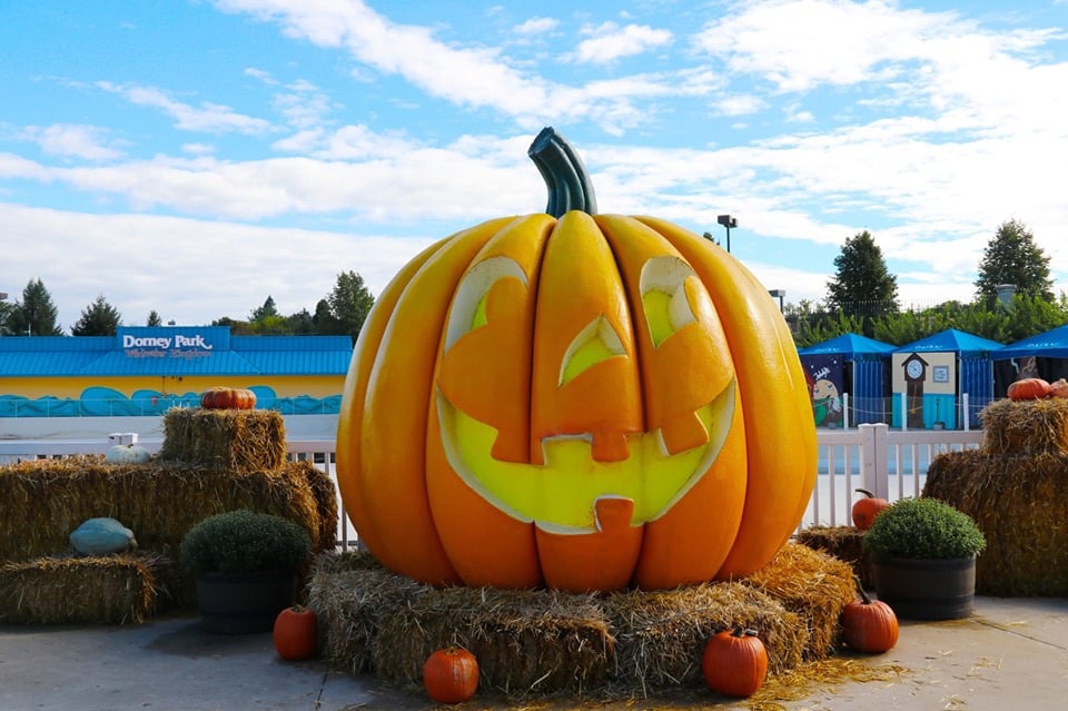 Dorney Park Pumpkin