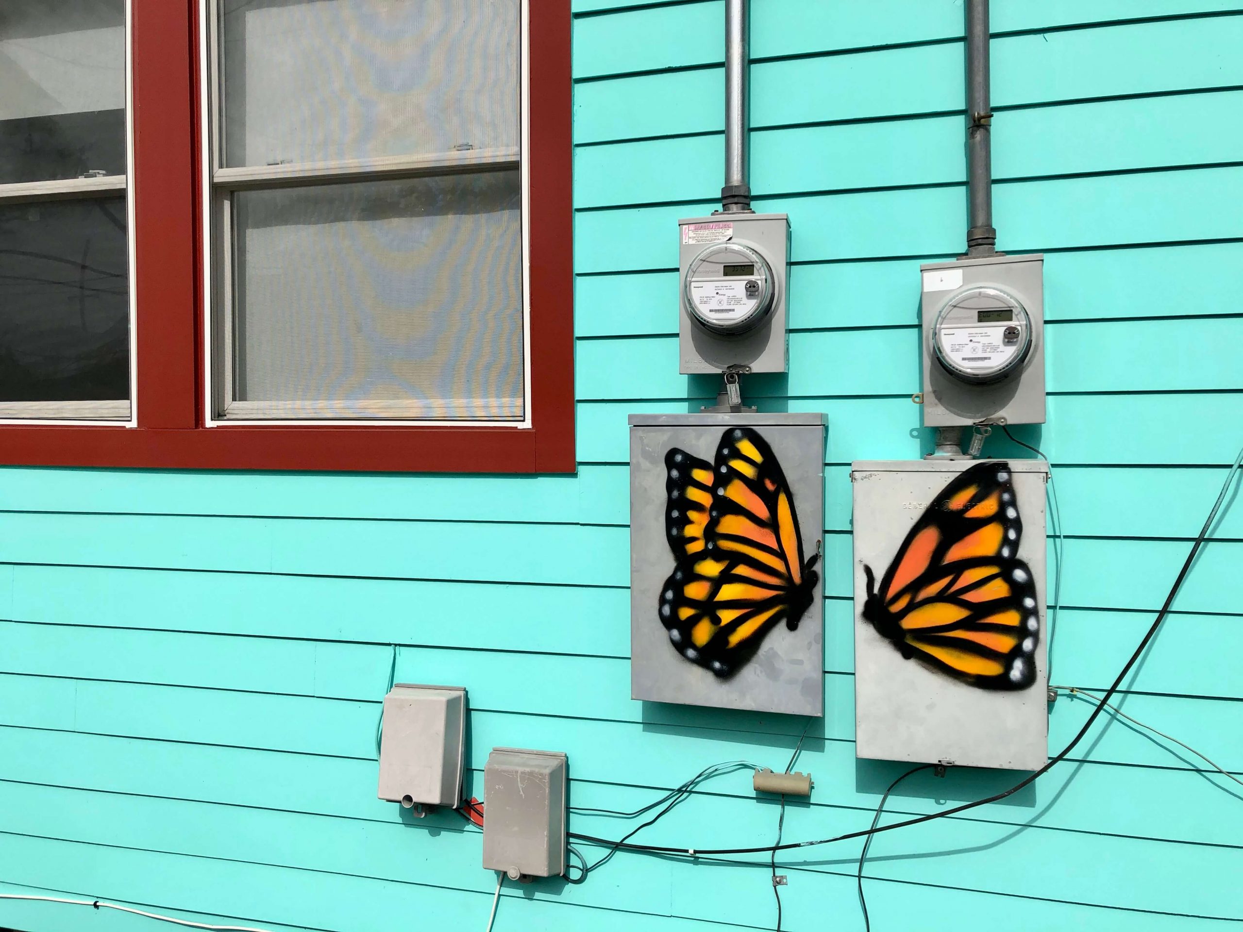 Butterflies in New Orleans