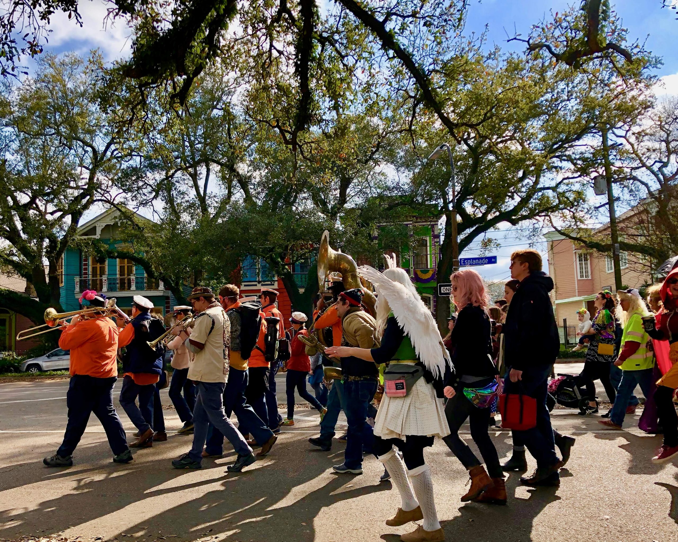 Krewe of Dead Beans Parade