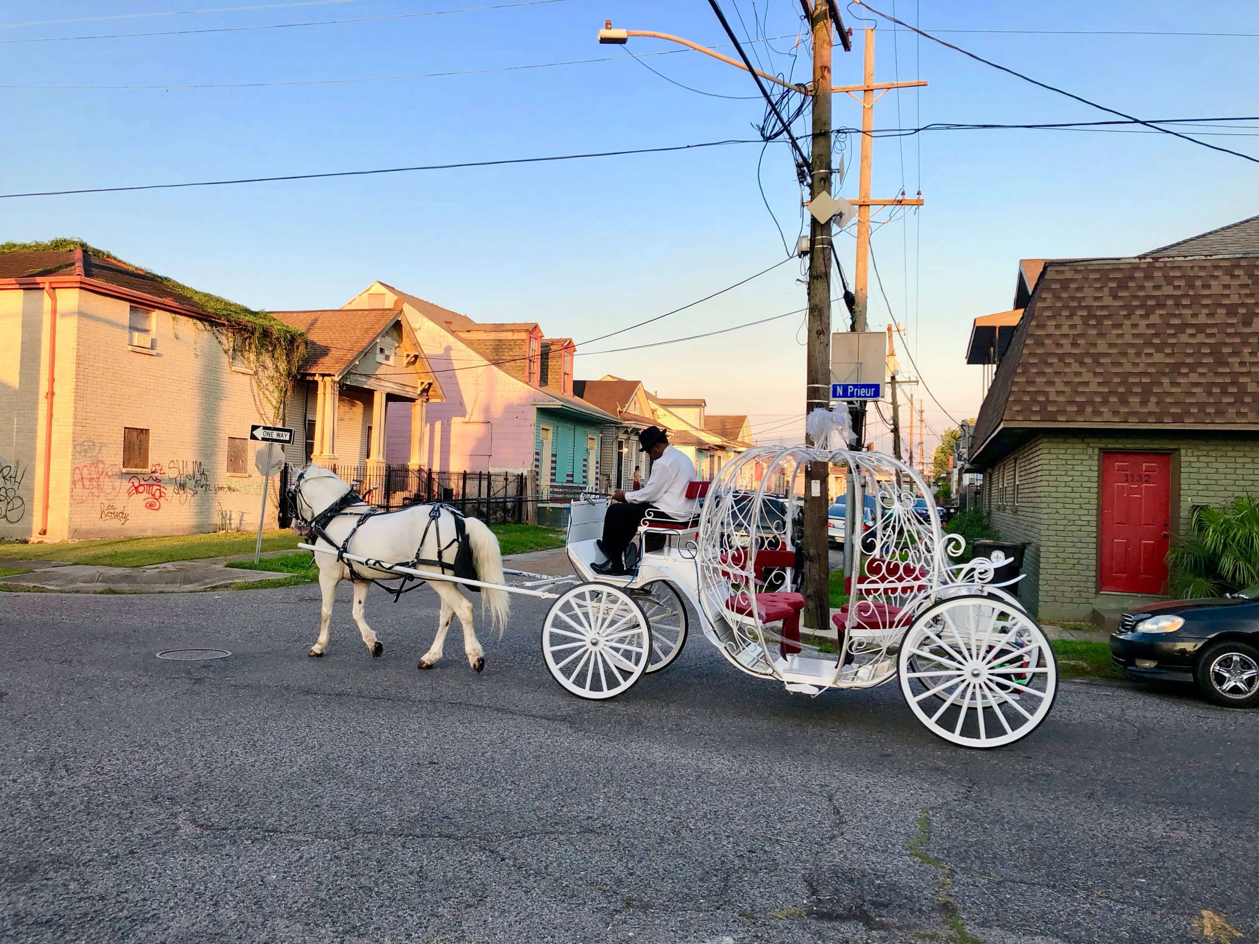 Cinderella's Carriage in New Orleans