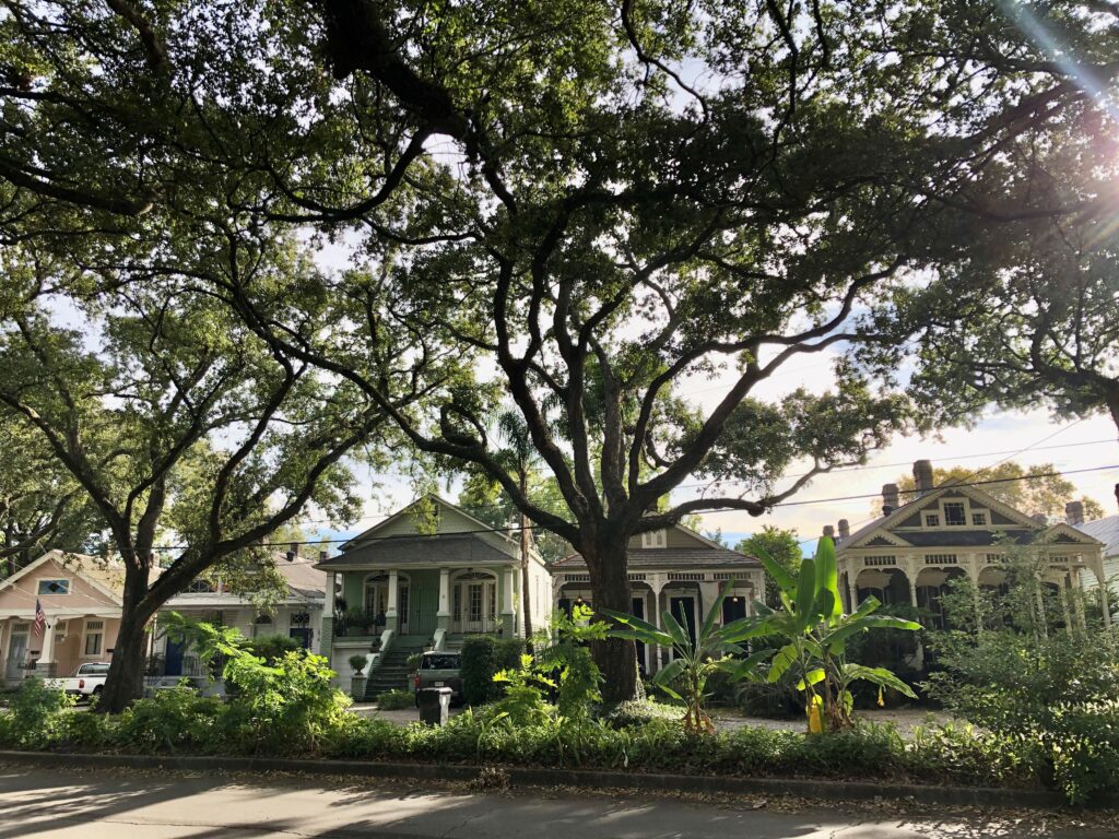 A view of New Orleans