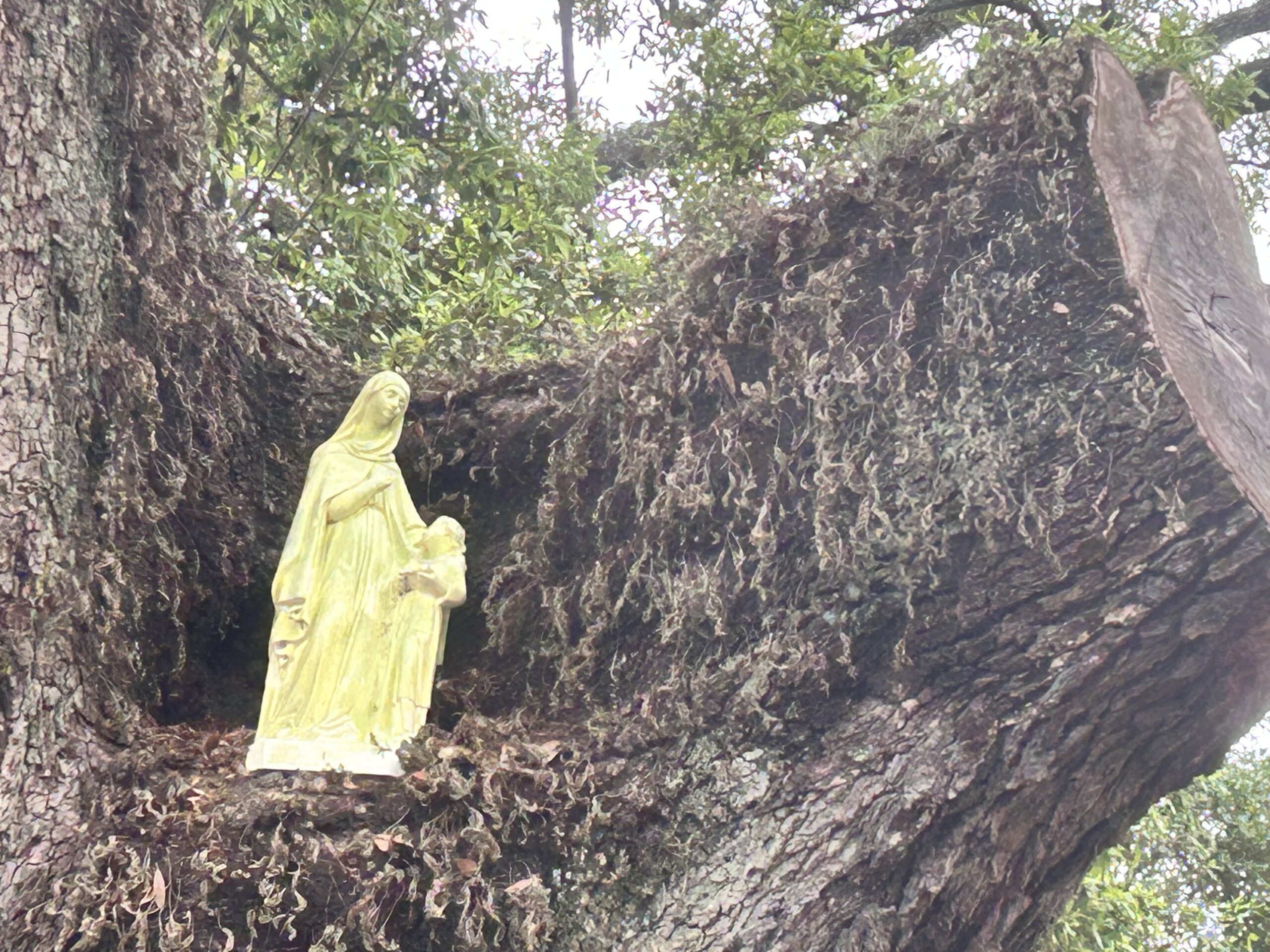 Historic St. Ann Shrine