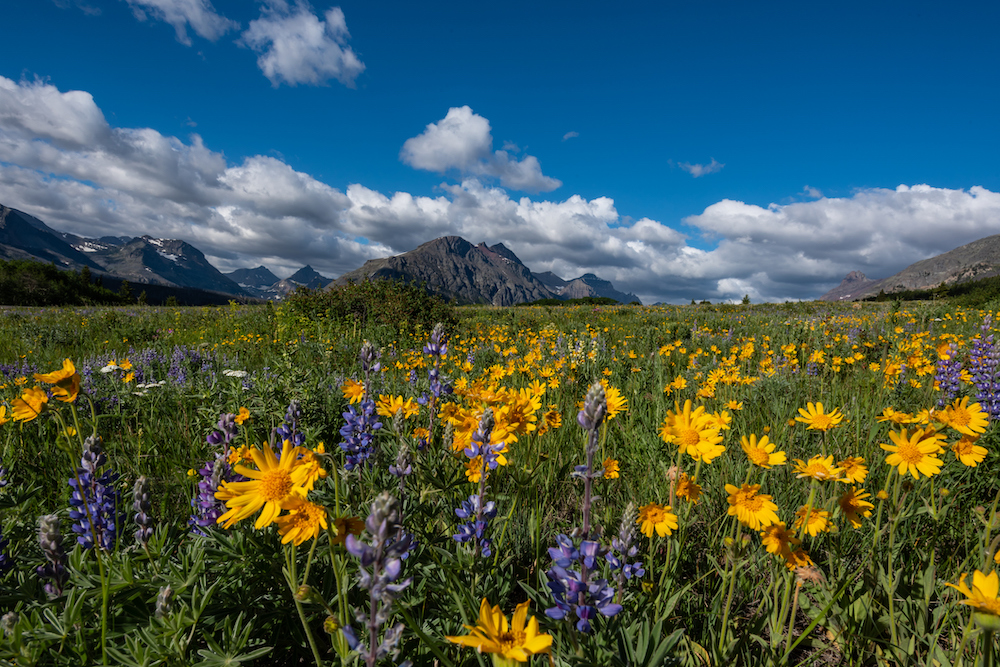 best time to visit big sky, montana spring