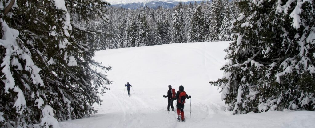 people snowshoeing down hill