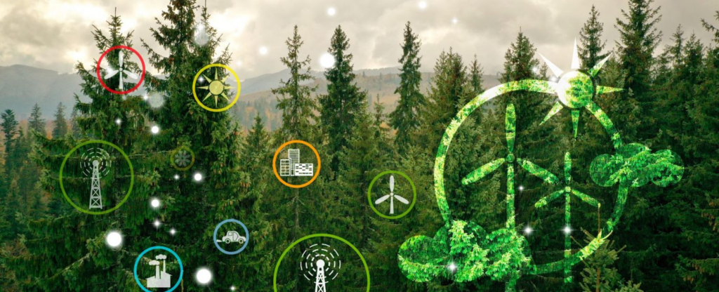 forest landscape with sustainability icons on it