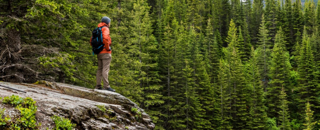 man standing on cliff overlooking forest