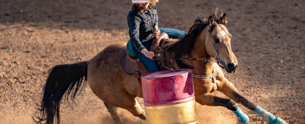 woman guiding horse around barrels