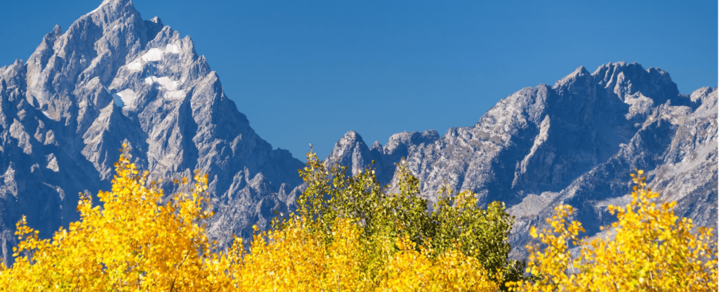 fall foliage in big sky