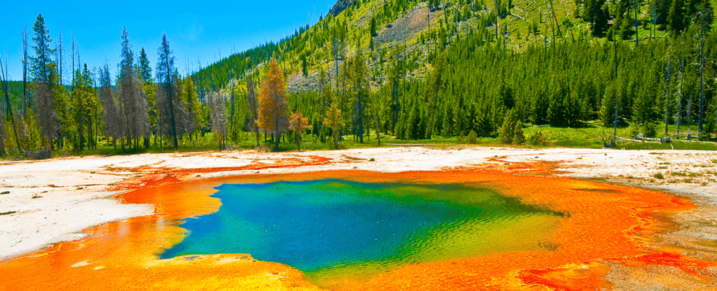 yellowstone geyser