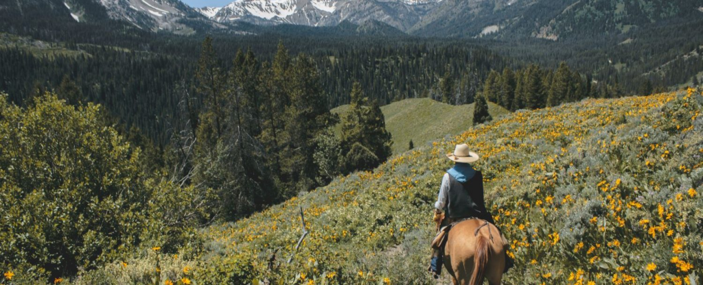 person horseback riding in meadow