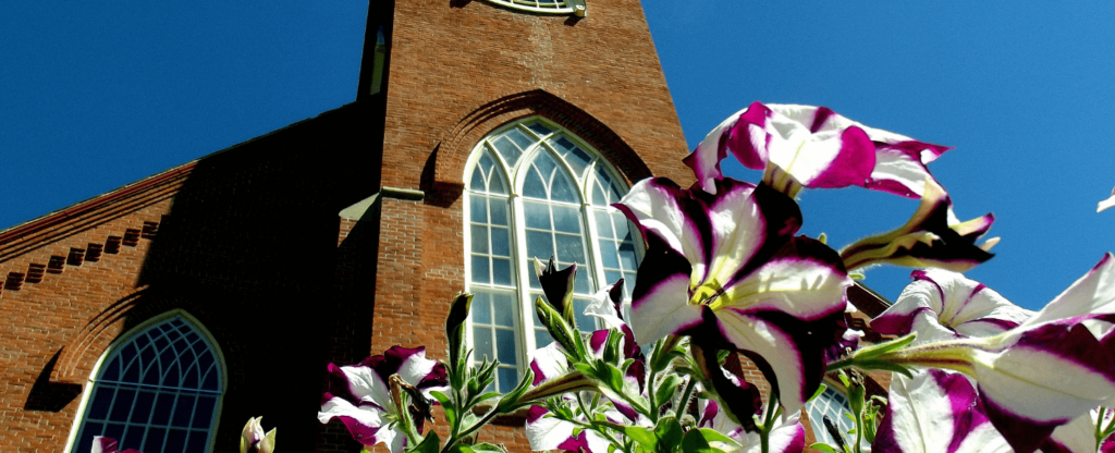 close up of flowers in front of historic building