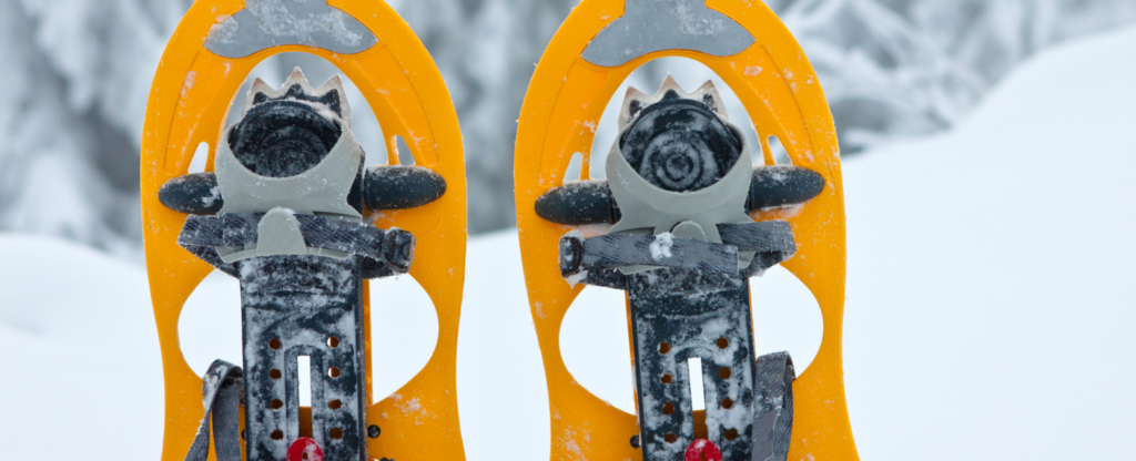 snowshoes in the snow