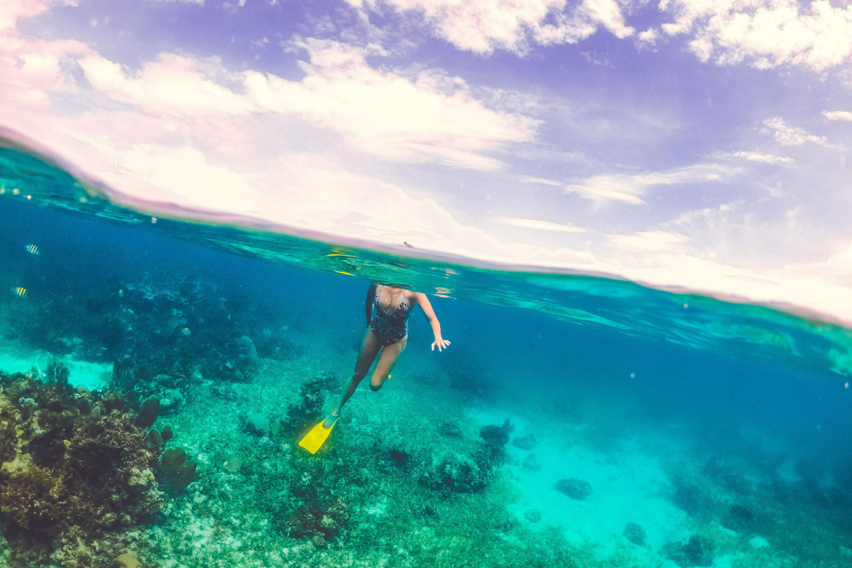 snorkeling in coral reef