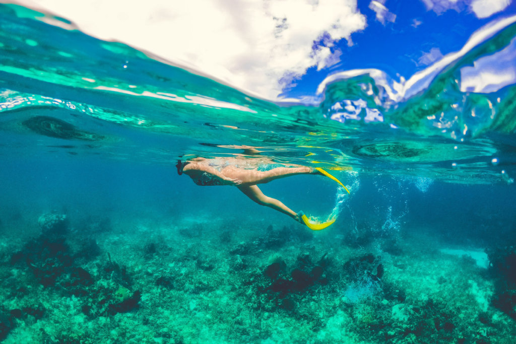 Woman snorkeling with reef below her