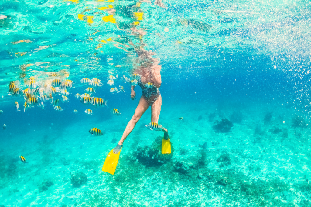snorkeling with school of yellow fishes